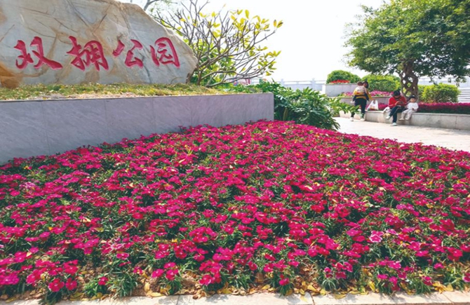 暖春百花开