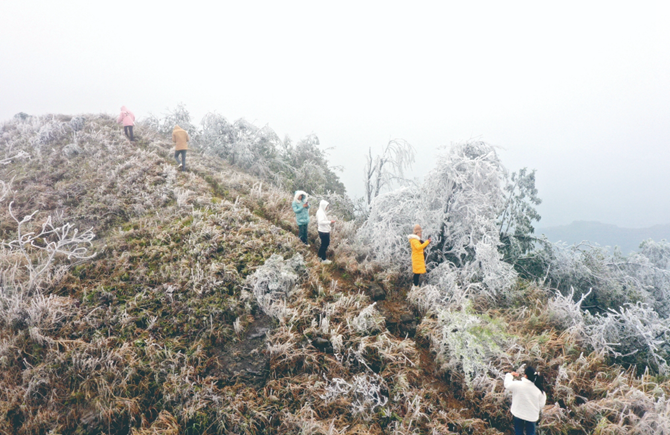 六堡镇山坪村现冰挂