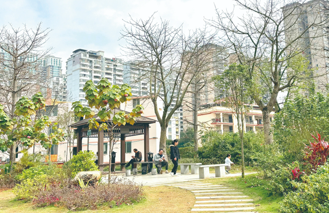 城市环境变美了