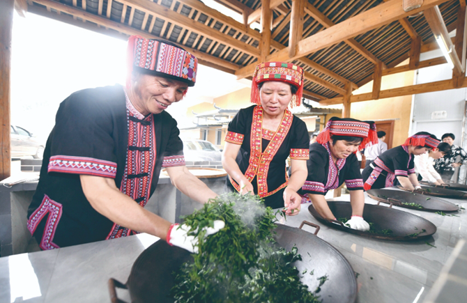 2024年苍梧县六堡茶开茶节活动精彩纷呈