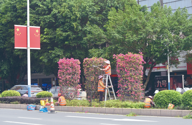 修剪绿化植物