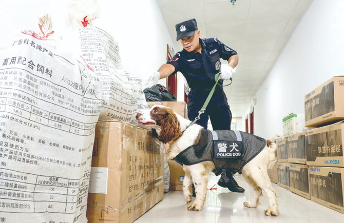 警犬工作获公安部通报肯定