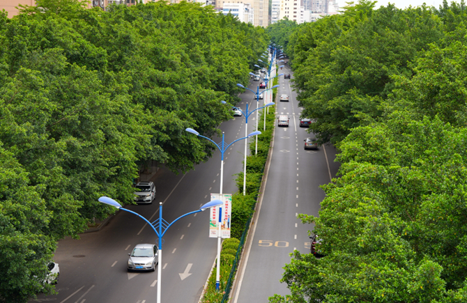 路“嵌”绿中
