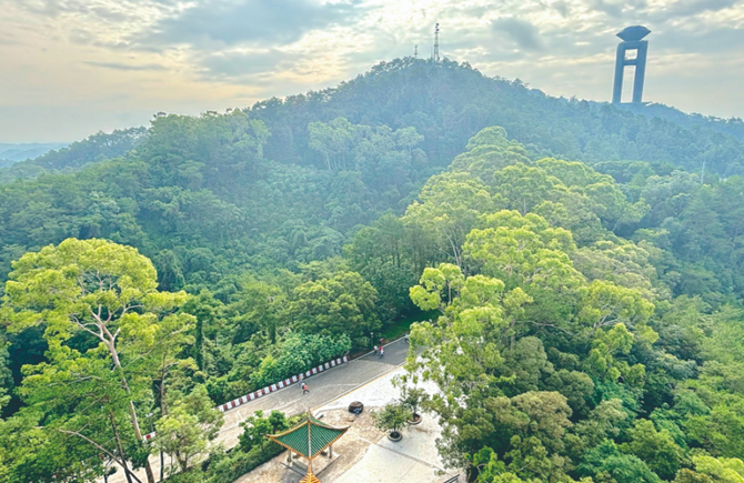 漫步山间欣赏夏日美景