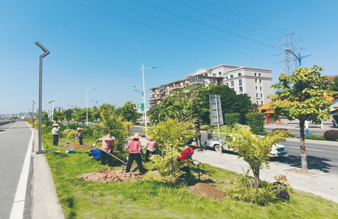 升级道路绿化景观