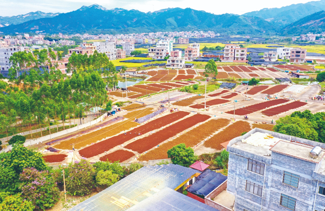 “党建链”连起“产业链”