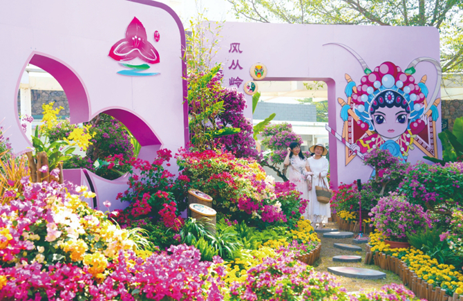 第二十二届梧州市宝巾花展正在苍海公园举行