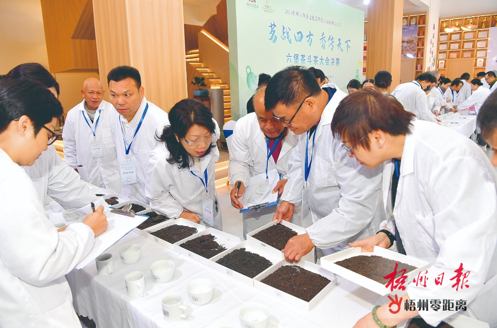 “茗战四方 香传天下”六堡茶斗茶大会举行决赛