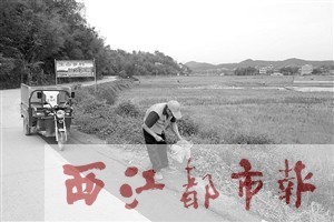 3月21日，保洁员岑伯均在夏郢镇答涓村主要干道上清理垃圾，身旁就是新配备的电动三轮保洁车。龙天传/摄 
