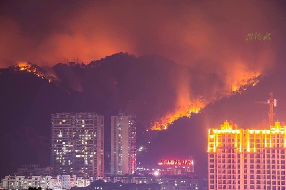 火灾现场。网友“榄称水”摄 