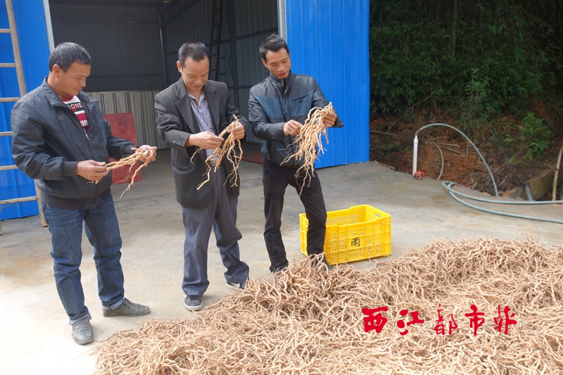 依托大平台闯出新天地