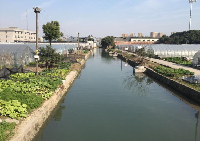 杭州外来人口有多少_浙江省会原来从五千年前开始就是一座移民城市 地球知识(3)